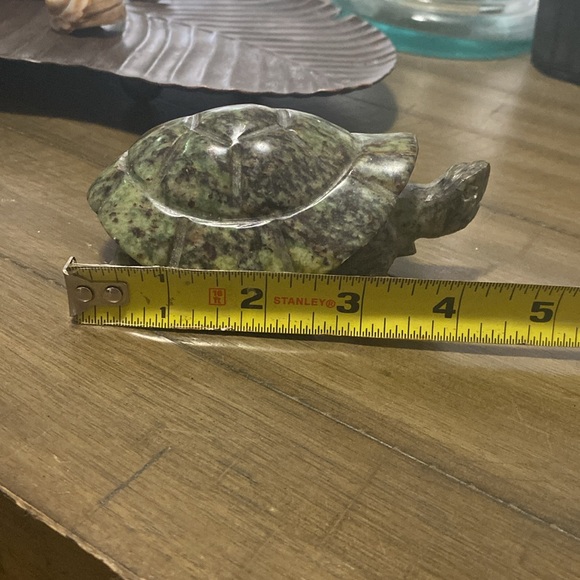 Fruit serpentine turtle. - Picture 5 of 7